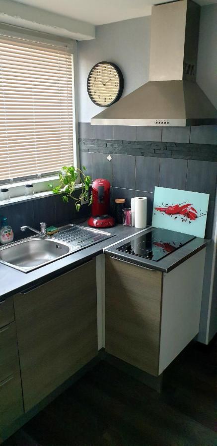 Appartement Plaisir Extreme à Roanne Extérieur photo